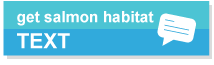 text-button